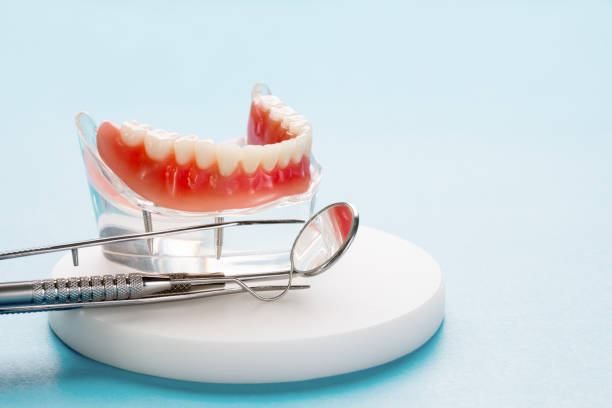 Best Traditional Braces  in Roseland, FL